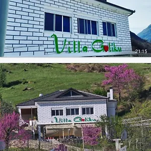 Goliku , Pestani Albanien